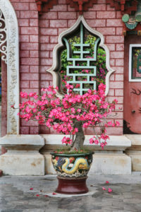 Asia, Vietnam, Hoi An Asia, Vietnam, Hoi An